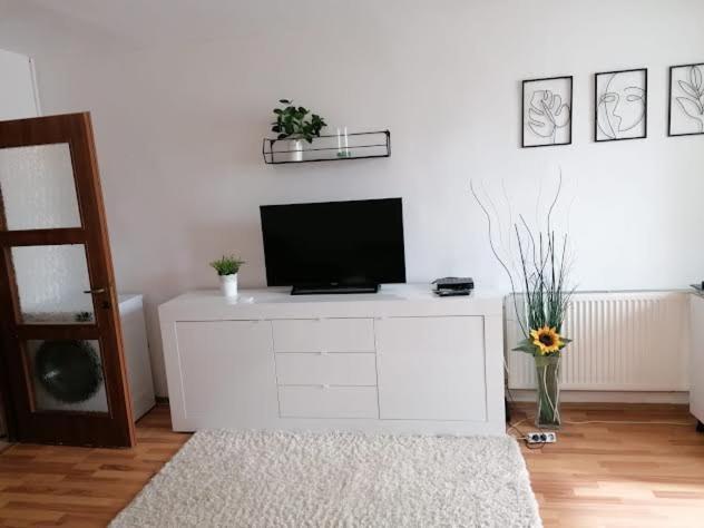 Nexus Studio Deluxe Miercurea Ciuc Zewnętrze zdjęcie